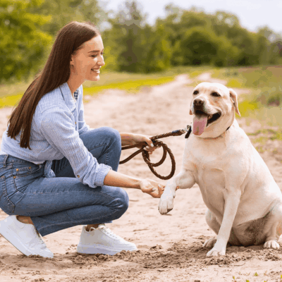 6 Tipps, um deinen Hund gesund und glücklich zu halten